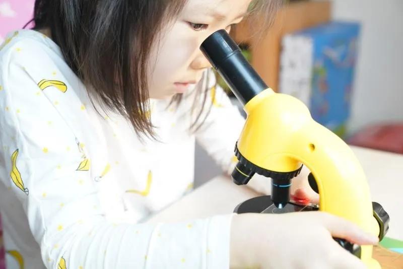 挖到小汽车奇趣玩具,挖到宝的玩具大全