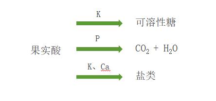 柑橘转色原理及增甜办法,柑橘增糖着色的原因