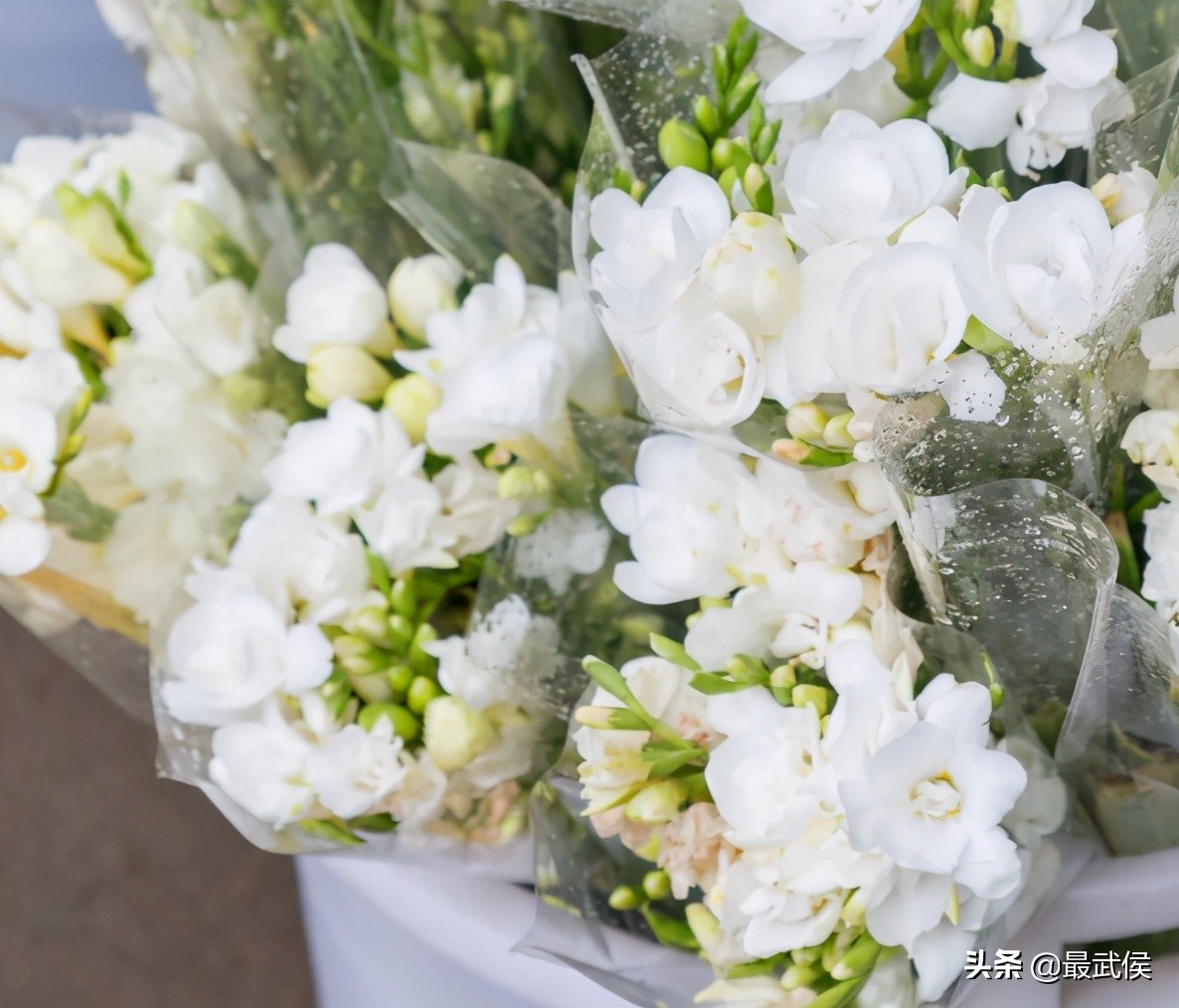 成都便宜的大花市,成都街边卖花一元一束