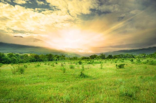 赵小明心理教育,怎么处理8岁孩子分离焦虑