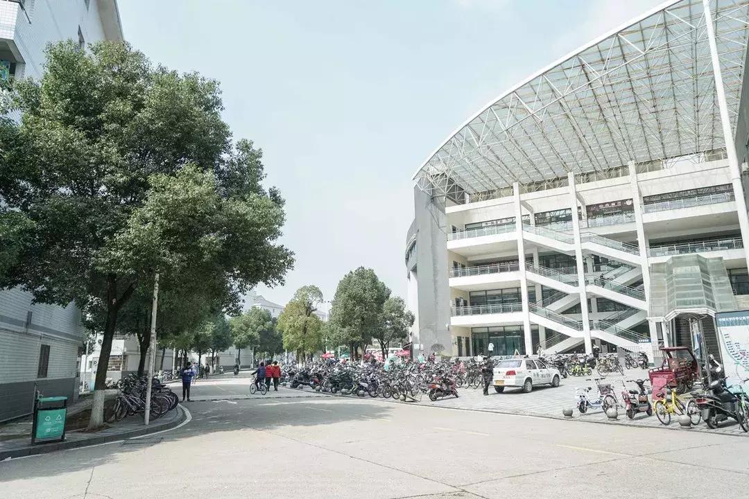 中南路事件,关于中南的那些事短剧