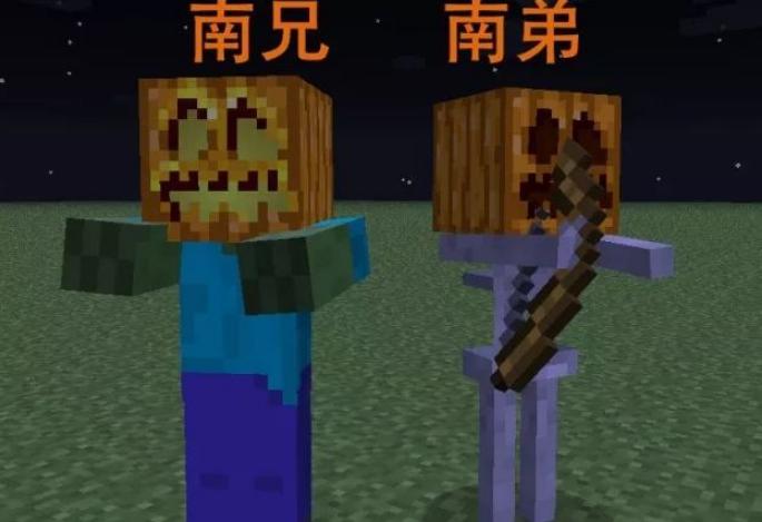 我的世界十种隐藏僵尸,植物大战僵尸万圣节巨人