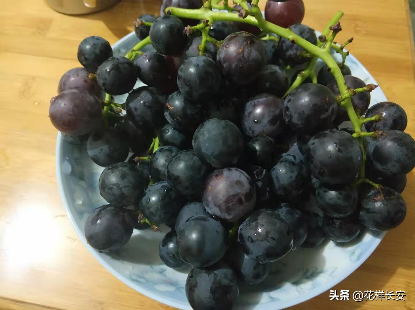 葡萄熟了玩耍视频,葡萄熟了采摘园