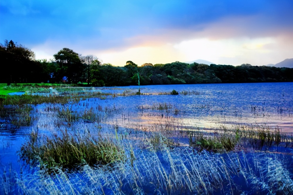西多士和什么绝配,西多士真的好吗
