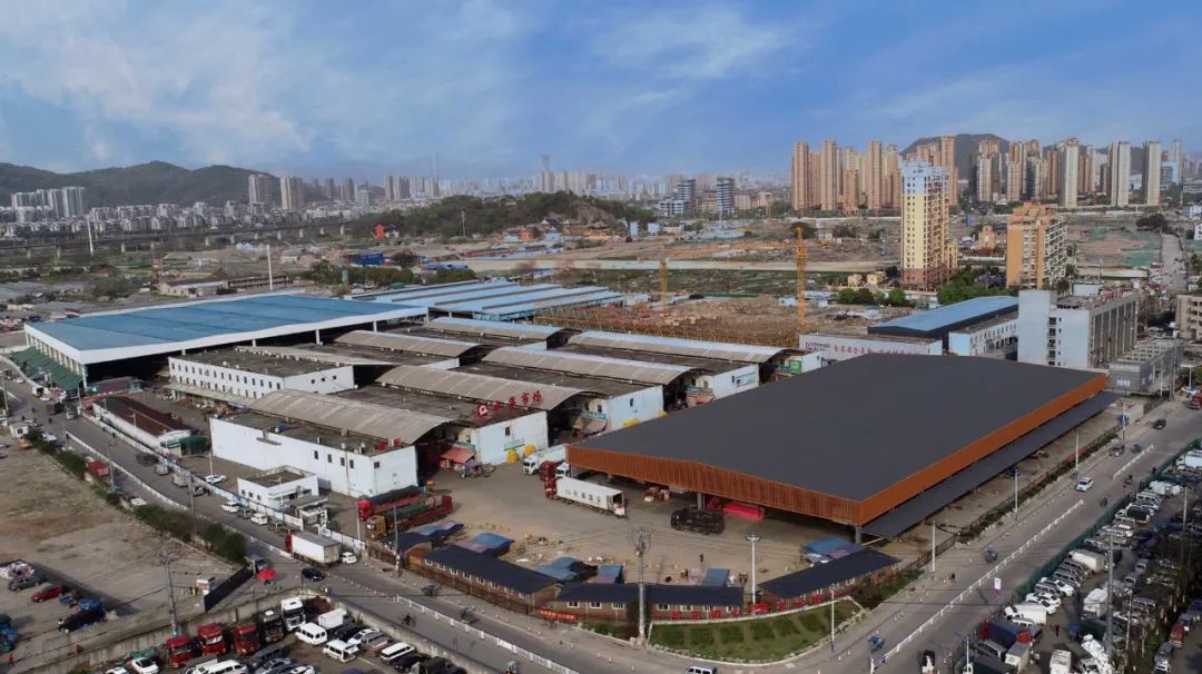 温州人一天吃掉248吨柑橘,温州菜篮子夜间吃东西