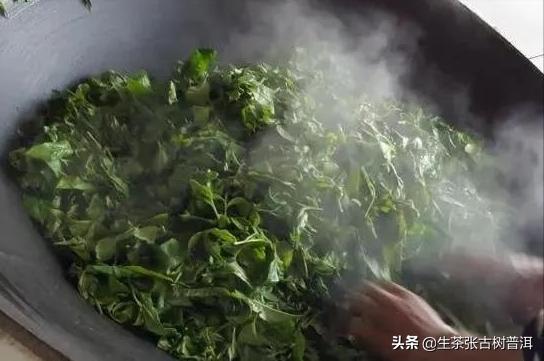 普洱茶从采摘到制作全过程,普洱生茶的制作工艺流程