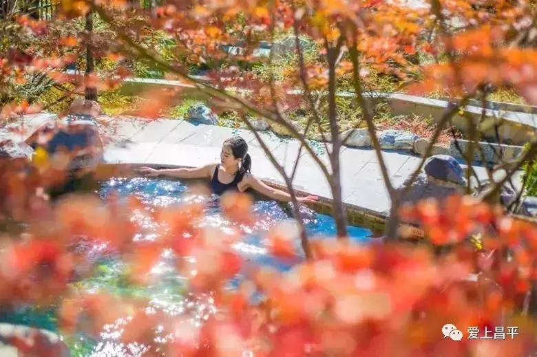 立冬泡汤温泉,立冬啦