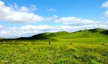 通过二次配方注册的韩国奶粉,通过注册制的奶粉