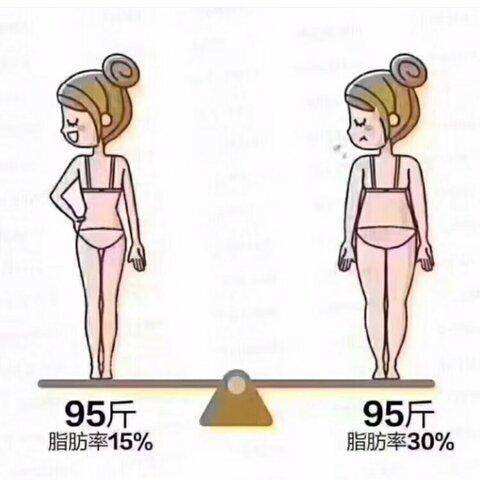 怎么测体脂比较好,什么是体脂秤怎么看脂肪多少