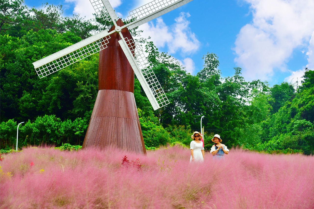 广州市龙洞粉黛乱子草网红打卡地,肇庆盘龙峡自助游推荐