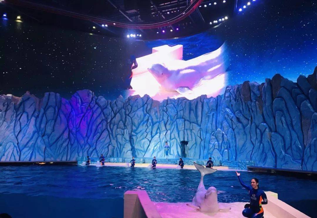 珠海长隆海洋王国附近住宿攻略,珠海长隆海洋王国三人住两天一夜