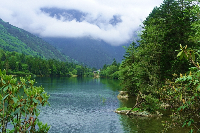 凤凰峡岭南小九寨原生态景区，素有“广东九寨沟”之美誉。不错吧