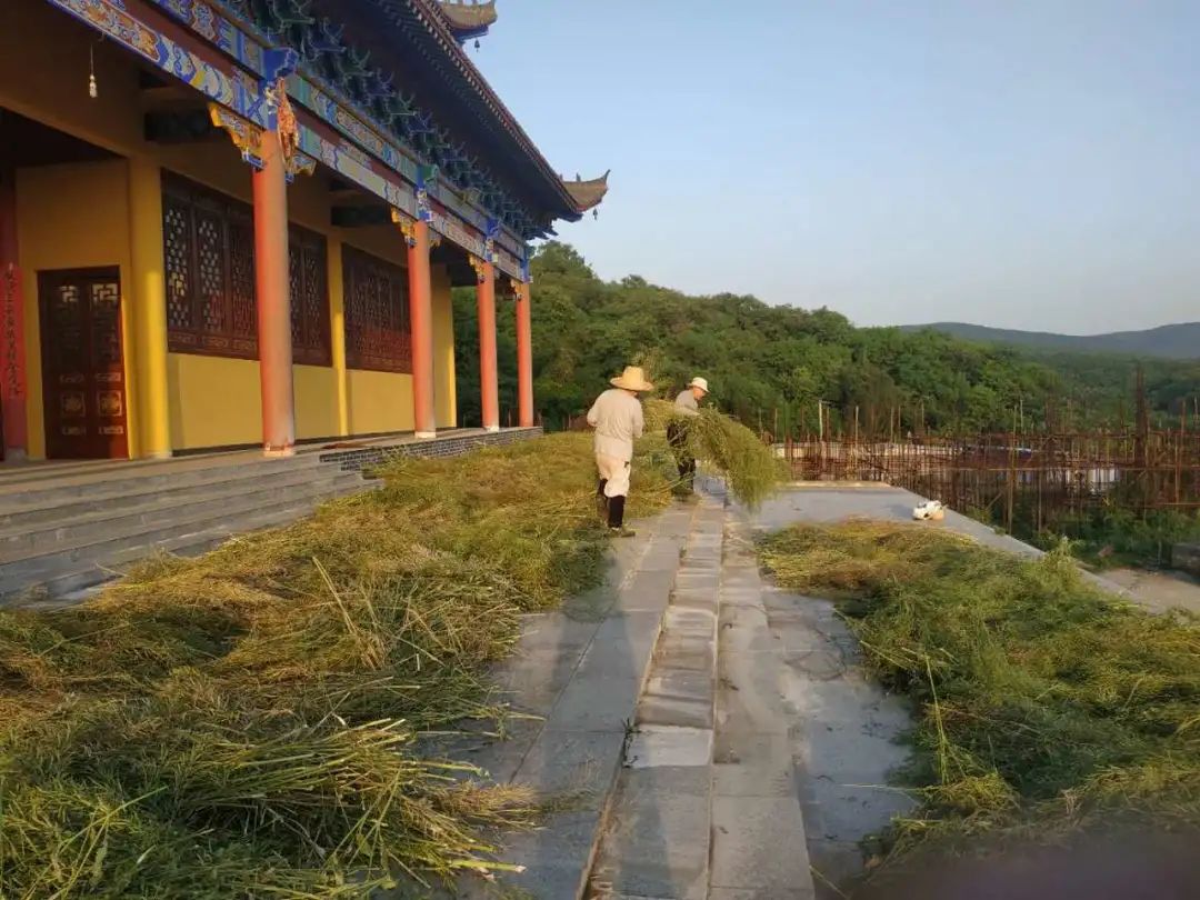 抢抓农时开展农业生产,农民纷纷抢抓春耕生产有利时机