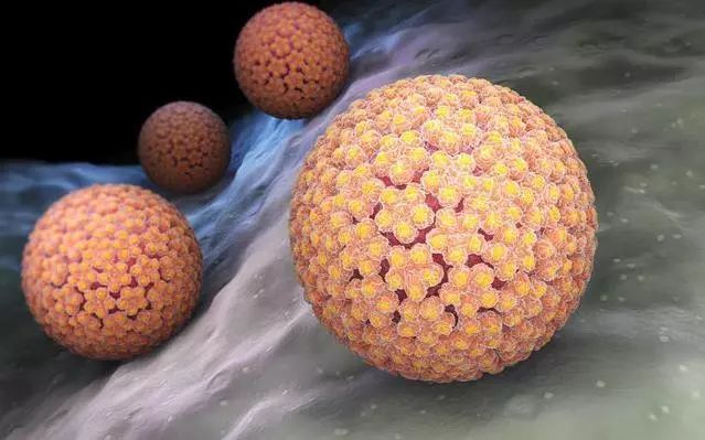 hpv感染转阴后几年不复发就安全了,得hpv不要慌这几个方法来让你转阴