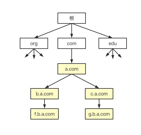 女朋友突然问我DNS是个啥....
