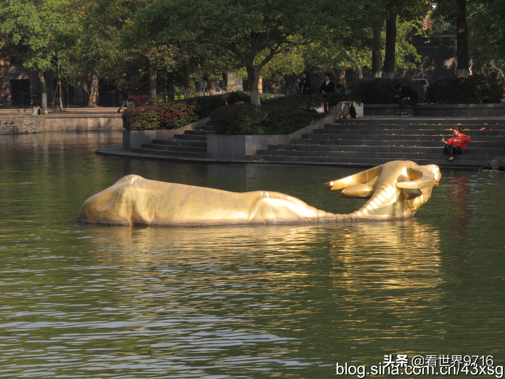 杭州西湖柳浪闻莺图片,杭州西湖风景名胜区柳浪闻莺