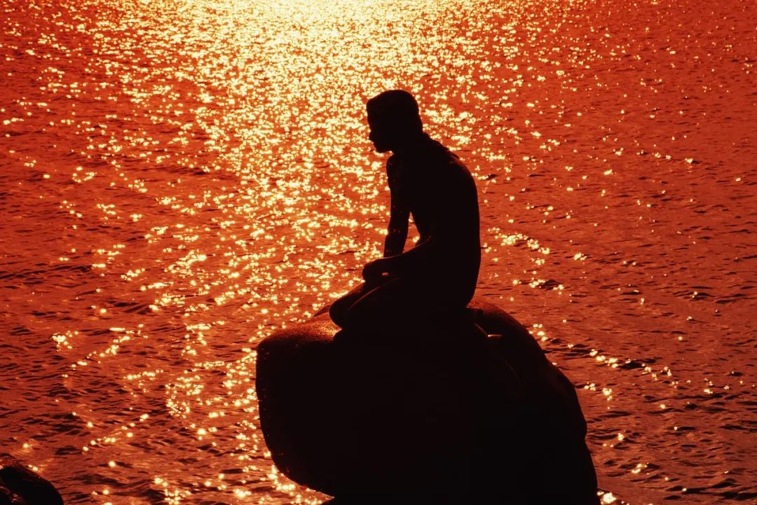 你以为人鱼都美的惊心动魄？那你是没有见过丑的！