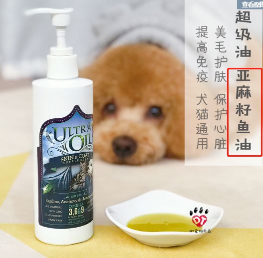 铲屎官是不是上当,铲屎官骗主子的视频