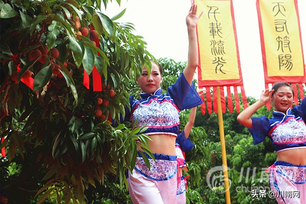 又是一年荔枝红全诗,又是一年一度荔枝成熟的季节