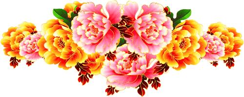 重阳节祝天下所有的父母身体健康,愿天下父母重阳节日幸福快乐