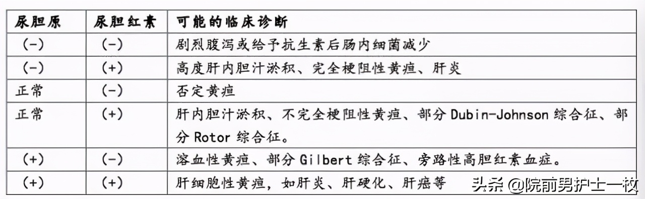 如何看懂尿常规,教你如何看懂尿常规报告