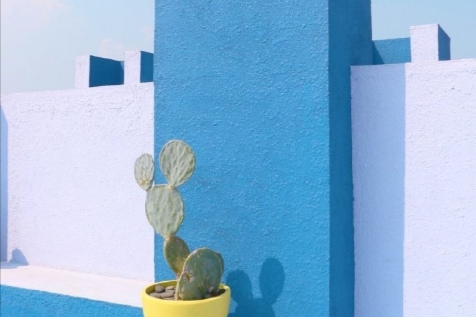 私藏书单推荐,私藏书单推荐排行榜