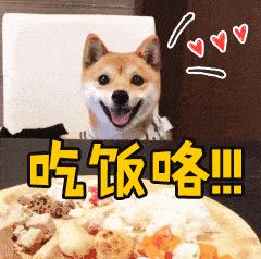 人人都爱吃好吃的美食,人人都爱吃的披萨