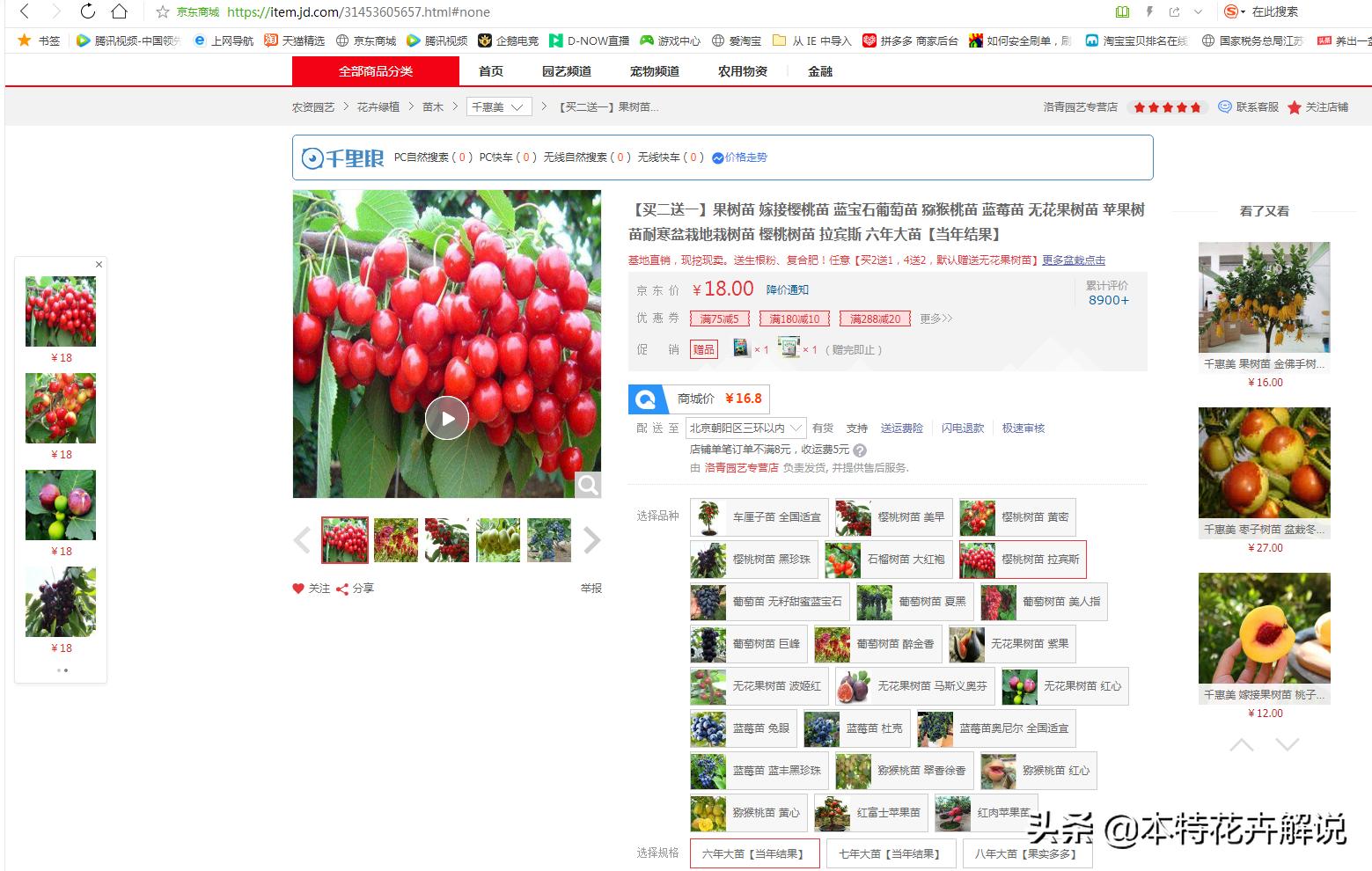 怎样不会买到假果树苗,在网上买到假果树苗