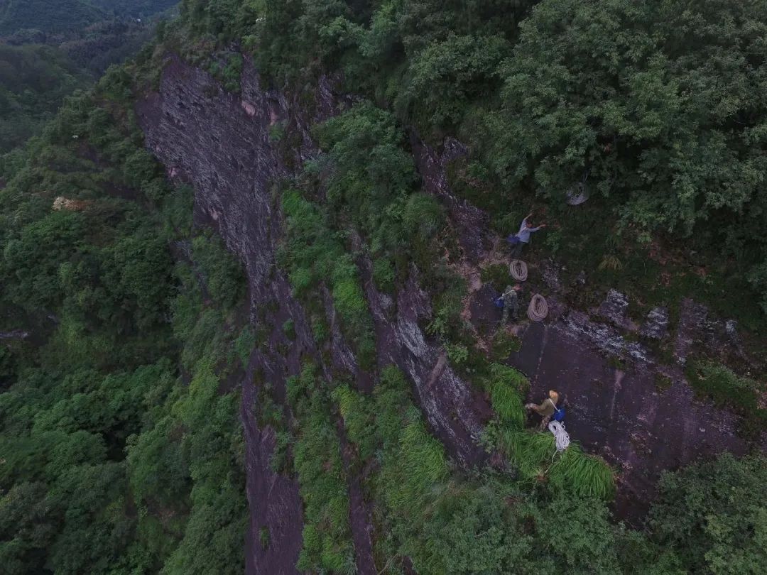 中医让人不相信的药材,难以接受的中药药材