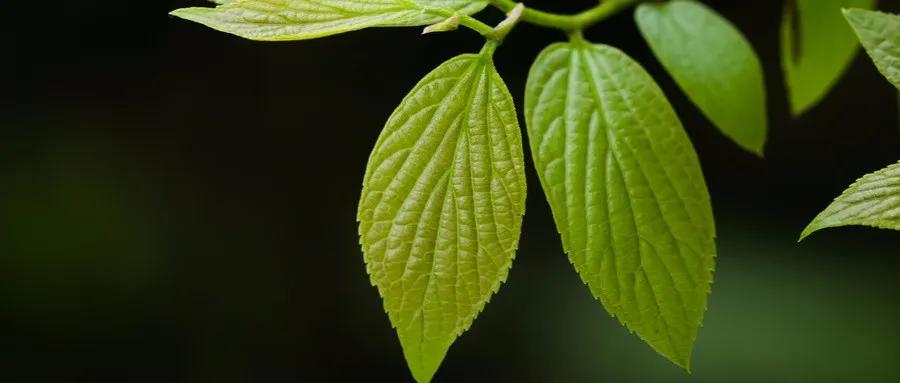 世界名著100句名言大全,名著励志名言30句