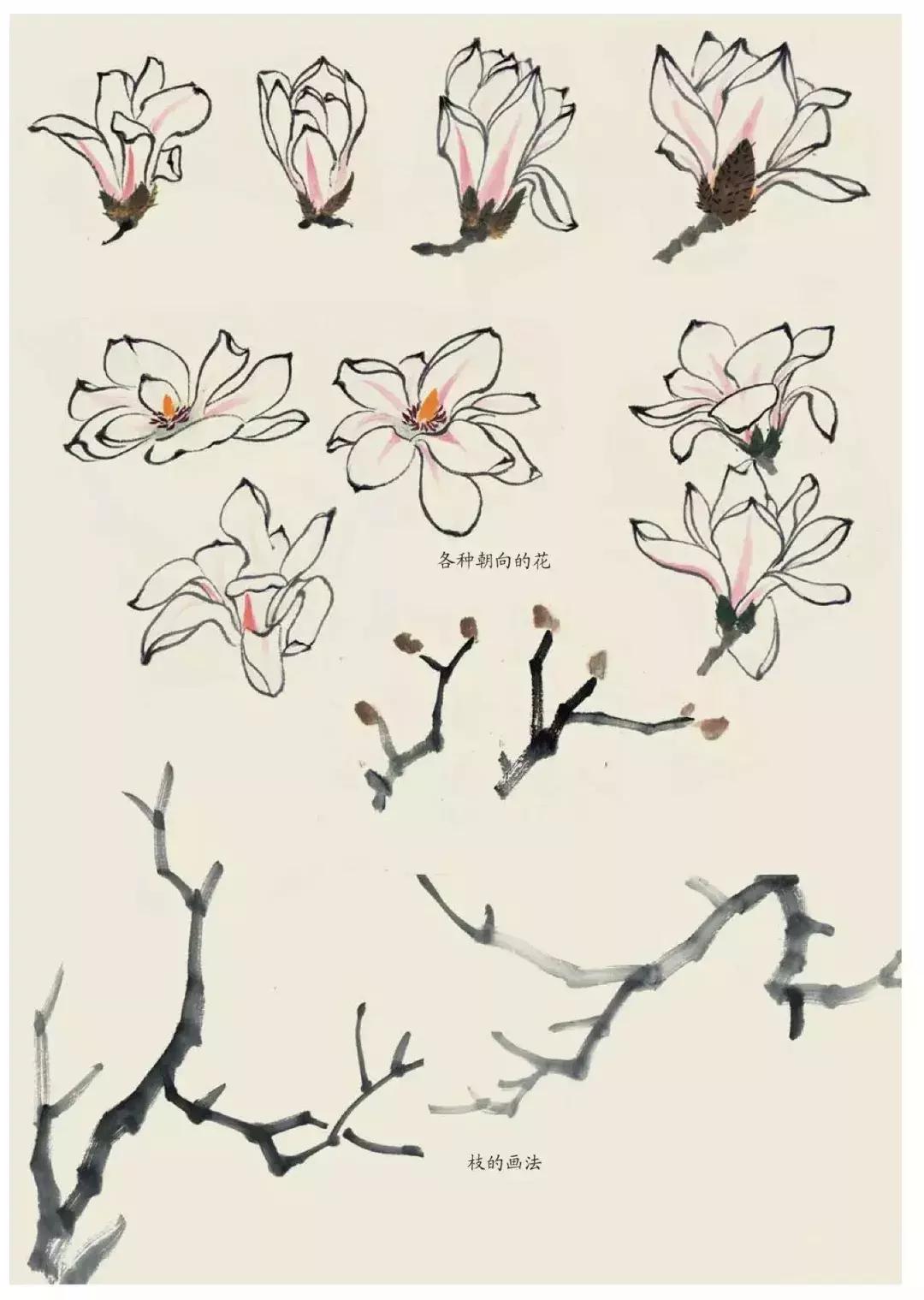 国画中各种花卉的画法,国画花卉画法步骤视频教程