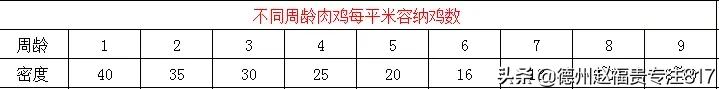 春季817肉鸡通风方式,817肉鸡第一天最佳湿度