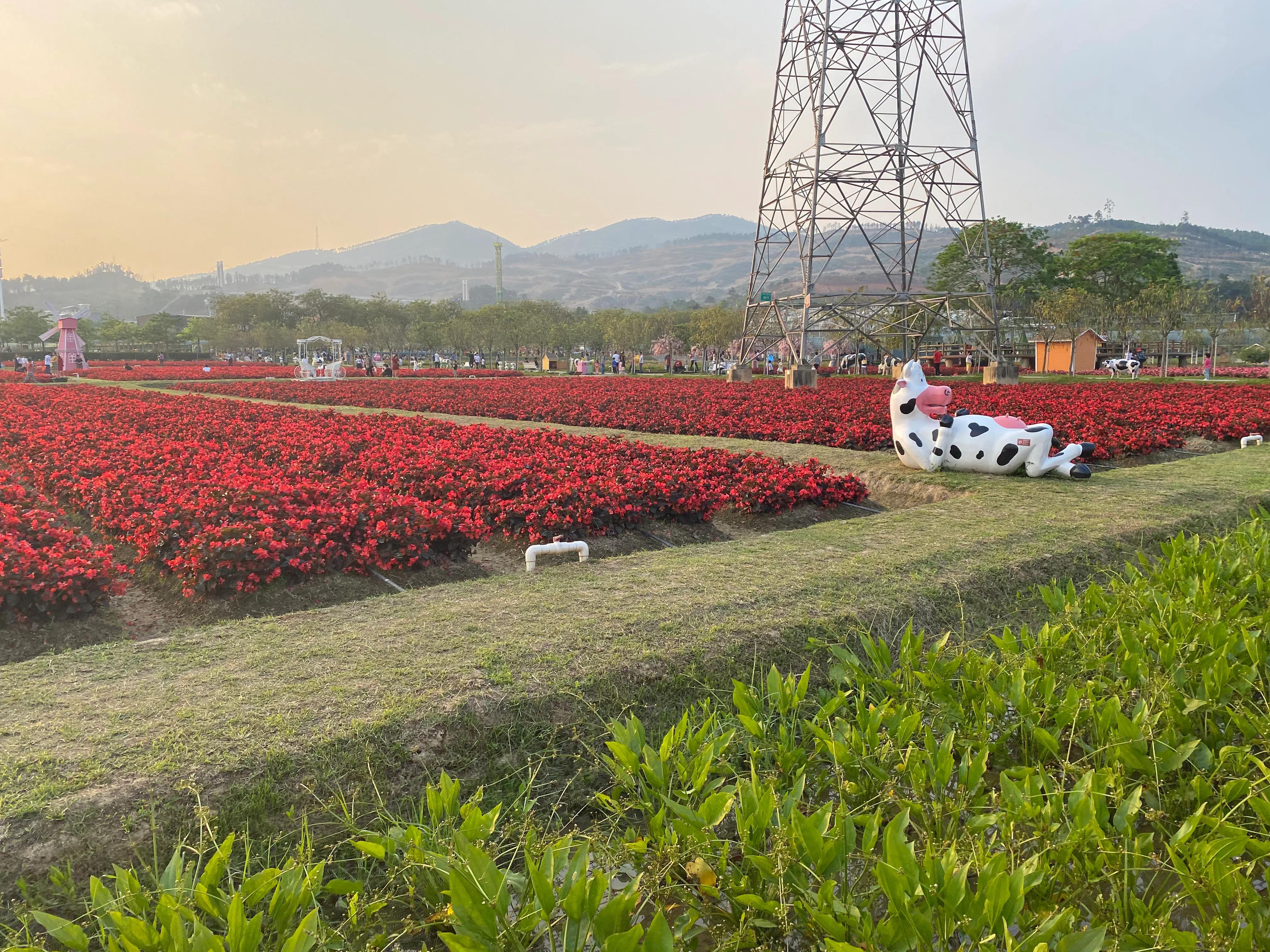 佛山盈香生态园一天玩得完吗,佛山盈香生态园值得去吗