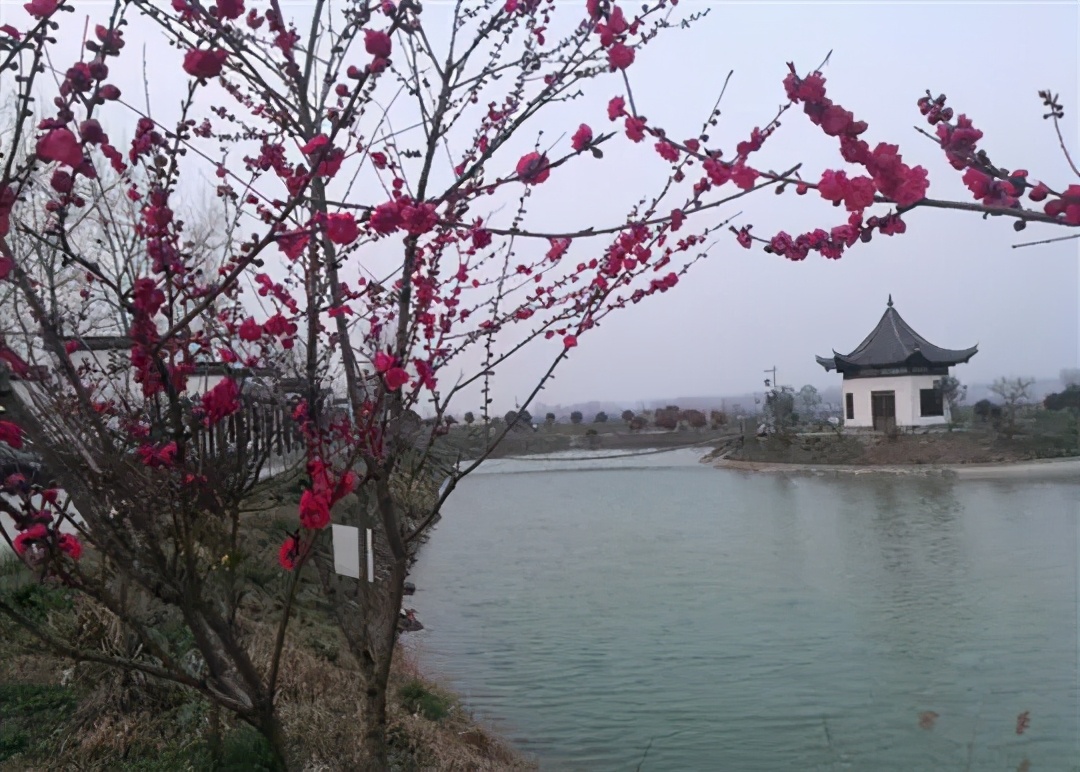 国庆肥西十大网红打卡地,合肥春游打卡攻略