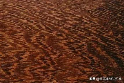 家具行业木材的介绍,我国民间家具常用木材
