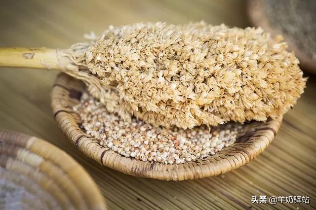 五谷杂粮蛋有什么营养价值,五谷杂粮大米饭的营养价值