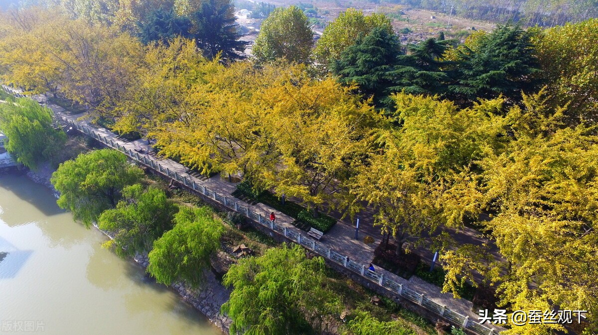 江苏扬州市阻燃输送带厂家,江苏扬州市传送带供应