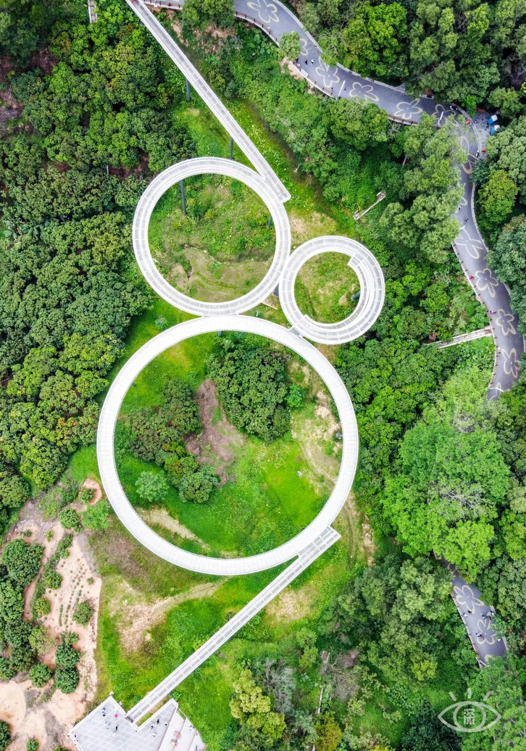 深圳这10条绿道你去过没,深圳十大绿道排行榜