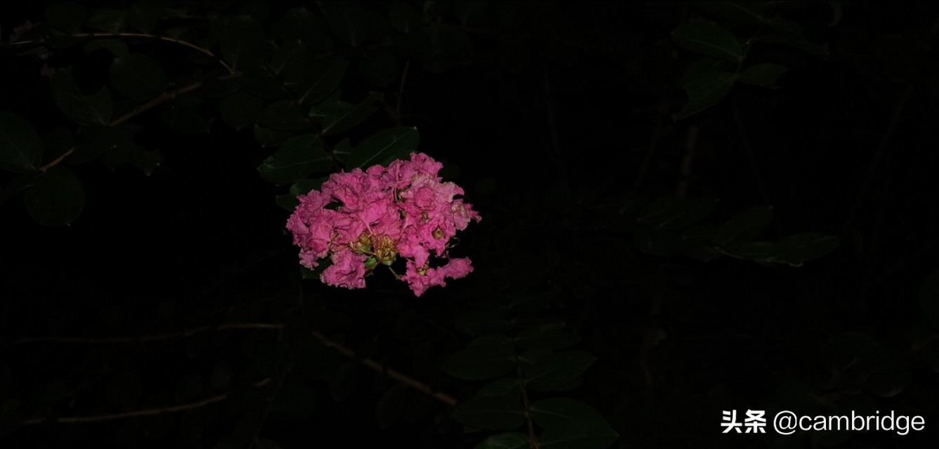 双重呼吸的好处,肺部深呼吸动作