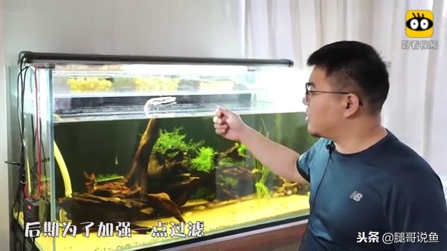 大缸什么过滤效果最好,什么过滤方式小缸效果最佳