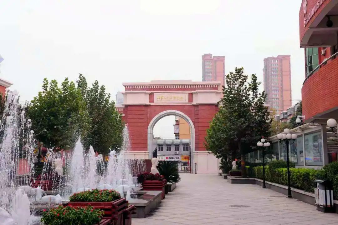 石家庄外国语学院2021招生简章,石家庄高中体育特长生招生计划