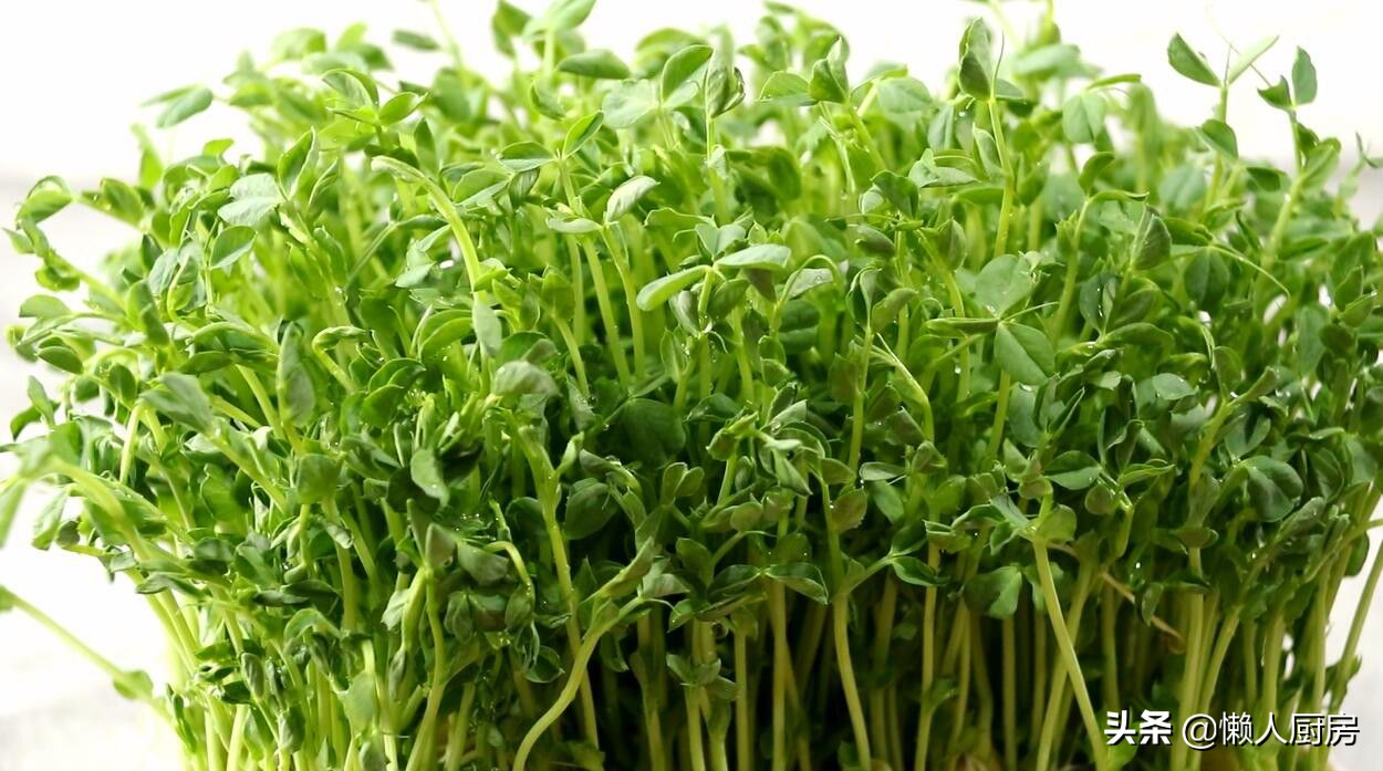 好吃的清炒豌豆苗,豌豆苗的各种做法