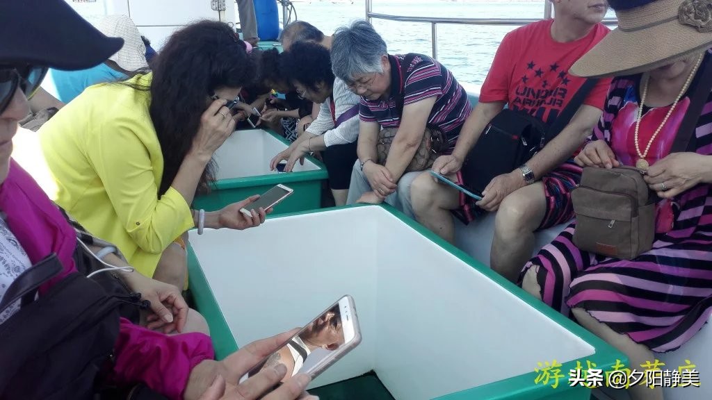 游越南视频,越南黑岛玩浮潜