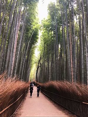 2020鏃ユ湰澶ч槳,澶ч槳浜兘濂堣壇鍏ぉ瀹夋帓