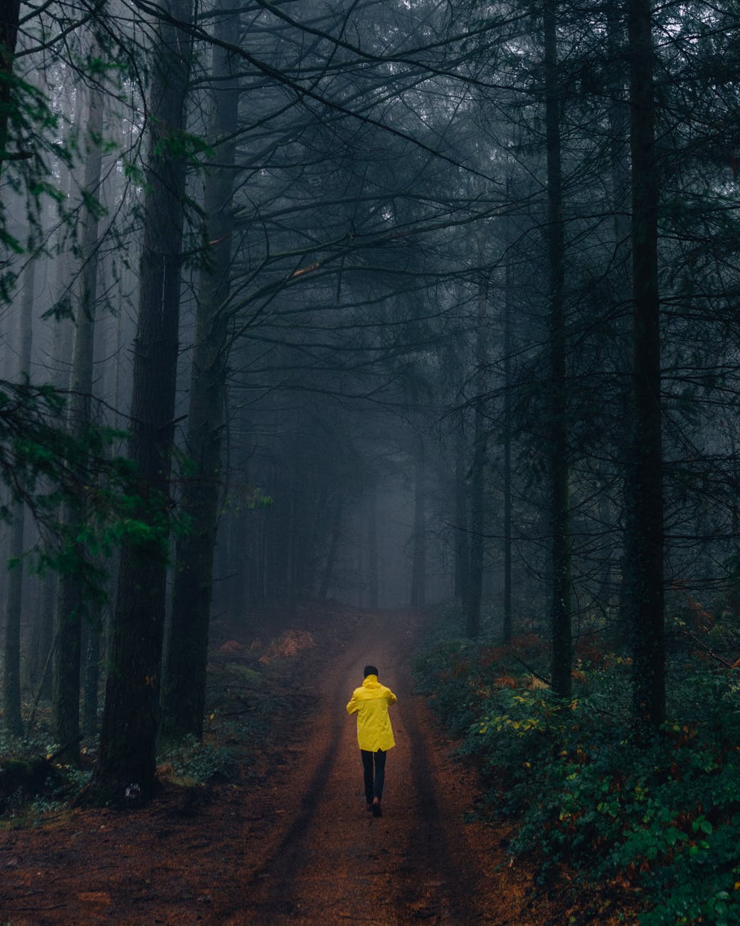 如何追暗恋多年的女生,如何追到自己暗恋的女生