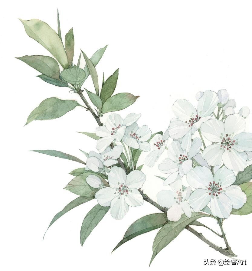 写意国画怎样配色,最好的小写意国画