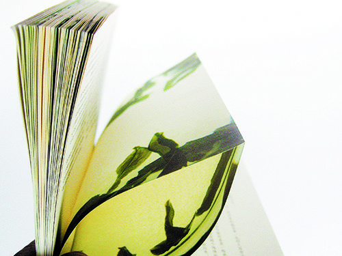 吕敬人最喜欢的书籍设计,吕敬人书籍设计代表作品