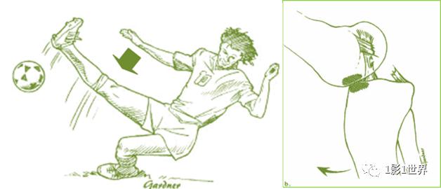 膝关节扭伤做什么检查好,脖子扭伤需要做什么检查