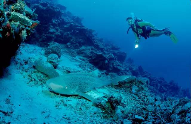 斯米兰岛最简单三个景点,斯米兰景点