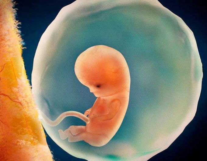 怀孕1到9个月的过程图片,孕早期辛苦了的图片